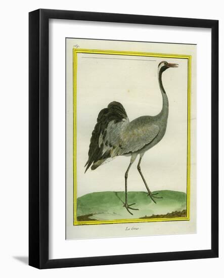 Crane-Georges-Louis Buffon-Framed Giclee Print