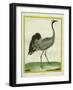 Crane-Georges-Louis Buffon-Framed Giclee Print