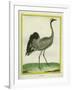 Crane-Georges-Louis Buffon-Framed Giclee Print