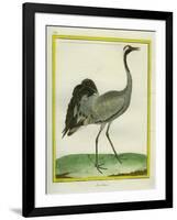 Crane-Georges-Louis Buffon-Framed Giclee Print