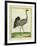 Crane-Georges-Louis Buffon-Framed Giclee Print