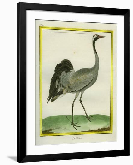 Crane-Georges-Louis Buffon-Framed Giclee Print