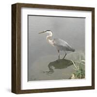 Crane-Denise Brown-Framed Art Print