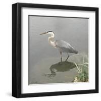 Crane-Denise Brown-Framed Art Print