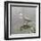 Crane-Denise Brown-Framed Art Print