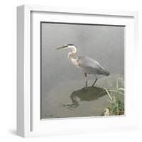 Crane-Denise Brown-Framed Art Print