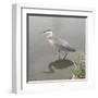 Crane-Denise Brown-Framed Art Print