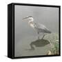 Crane-Denise Brown-Framed Stretched Canvas