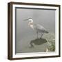 Crane-Denise Brown-Framed Art Print