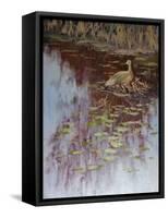 Crane-Rusty Frentner-Framed Stretched Canvas