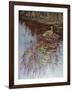 Crane-Rusty Frentner-Framed Giclee Print