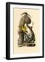 Cranefly, 1833-39-null-Framed Giclee Print