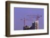 Cranes and Roof of the Elbphilharmonie in the Brightness of the Setting Sun, Hafencity, Germany-Axel Schmies-Framed Photographic Print