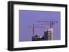 Cranes and Roof of the Elbphilharmonie in the Brightness of the Setting Sun, Hafencity, Germany-Axel Schmies-Framed Photographic Print