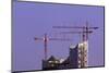 Cranes and Roof of the Elbphilharmonie in the Brightness of the Setting Sun, Hafencity, Germany-Axel Schmies-Mounted Photographic Print
