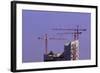 Cranes and Roof of the Elbphilharmonie in the Brightness of the Setting Sun, Hafencity, Germany-Axel Schmies-Framed Photographic Print