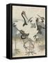 Cranes by the water, c.1816-Kubo Shunman-Framed Stretched Canvas