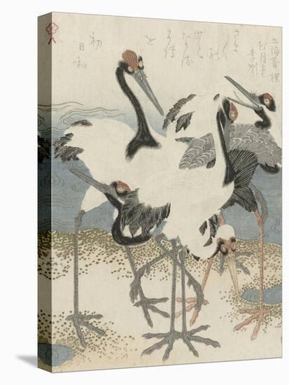 Cranes by the water, c.1816-Kubo Shunman-Stretched Canvas