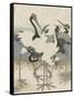 Cranes by the water, c.1816-Kubo Shunman-Framed Stretched Canvas