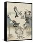 Cranes by the water, c.1816-Kubo Shunman-Framed Stretched Canvas