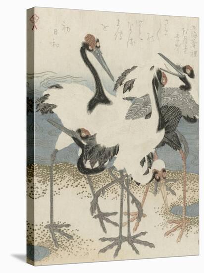 Cranes by the water, c.1816-Kubo Shunman-Stretched Canvas