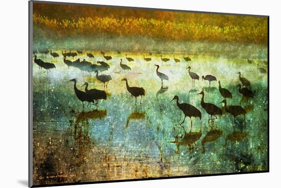 Cranes in Mist I-Chris Vest-Mounted Art Print