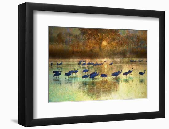 Cranes in Mist II-Chris Vest-Framed Art Print