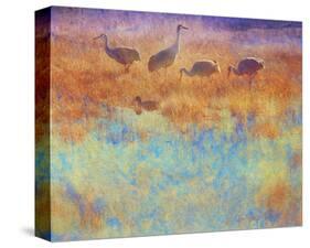 Cranes in Soft Mist-Chris Vest-Stretched Canvas