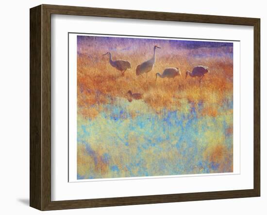 Cranes in Soft Mist-Chris Vest-Framed Art Print