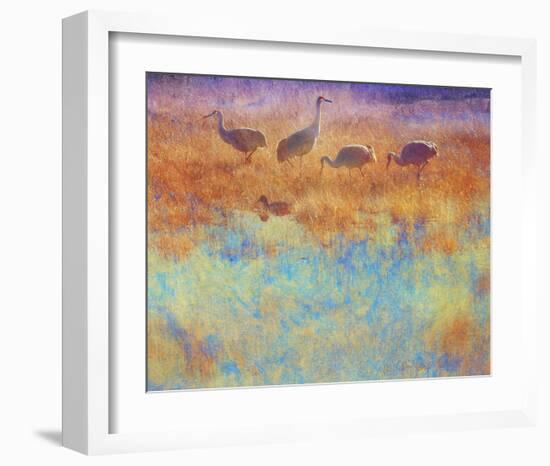 Cranes in Soft Mist-Chris Vest-Framed Art Print