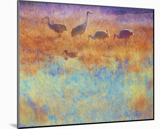 Cranes in Soft Mist-Chris Vest-Mounted Art Print