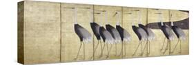 Cranes, Japanese Edo Screen Painting-Ogata Korin-Stretched Canvas