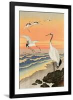 Cranes on Seashore-Koson Ohara-Framed Giclee Print