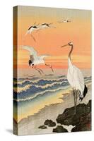 Cranes on Seashore-Koson Ohara-Stretched Canvas