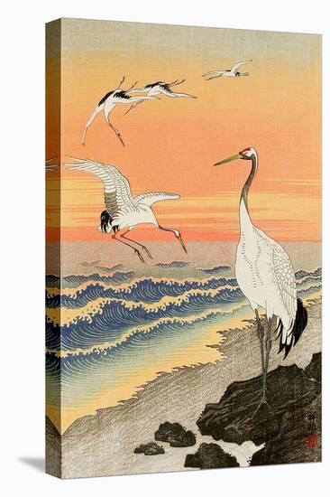 Cranes on Seashore-Koson Ohara-Stretched Canvas