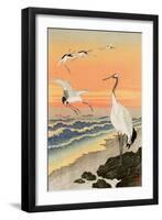 Cranes on Seashore-Koson Ohara-Framed Premium Giclee Print