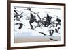 Cranes-Reiner Bernhardt-Framed Photographic Print