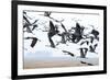 Cranes-Reiner Bernhardt-Framed Photographic Print