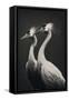 Cranes-Treechild-Framed Stretched Canvas