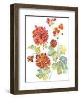 Cranesbills II-Chariklia Zarris-Framed Art Print