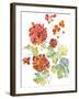 Cranesbills II-Chariklia Zarris-Framed Art Print