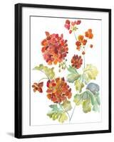 Cranesbills II-Chariklia Zarris-Framed Art Print