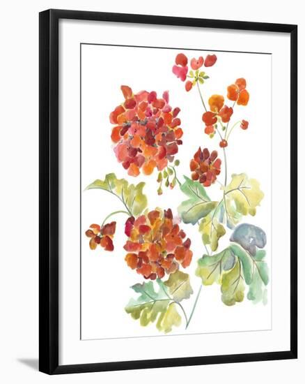 Cranesbills II-Chariklia Zarris-Framed Art Print