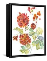 Cranesbills II-Chariklia Zarris-Framed Stretched Canvas