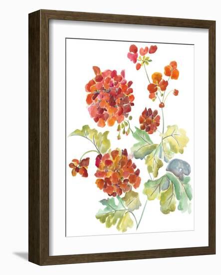 Cranesbills II-Chariklia Zarris-Framed Art Print