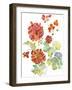 Cranesbills II-Chariklia Zarris-Framed Art Print