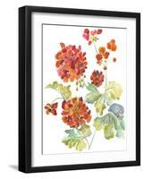 Cranesbills II-Chariklia Zarris-Framed Art Print