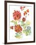 Cranesbills II-Chariklia Zarris-Framed Art Print