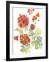 Cranesbills II-Chariklia Zarris-Framed Art Print