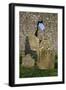 Cranfield Church, Lough Neagh, County Antrim, Ulster, Northern Ireland, United Kingdom, Europe-Carsten Krieger-Framed Photographic Print